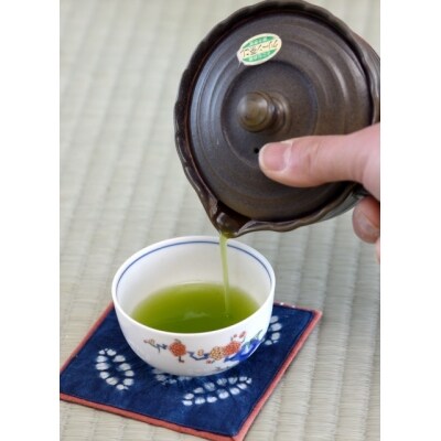 【毎月お届け12回】特上煎茶八重100g2本と季節の茶100g1本(急須付き)(H047113)