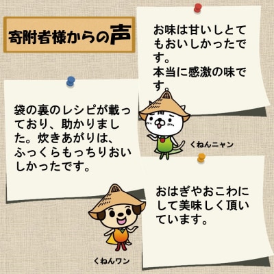 令和7年産 新米 佐賀県産ひよくもち米 10kg(H015200)