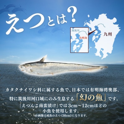 えつんこ南蛮漬け (H028107)