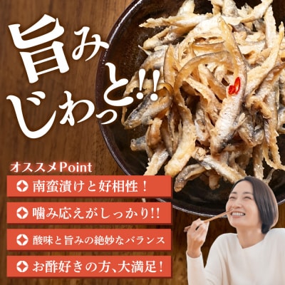 えつんこ南蛮漬け (H028107)