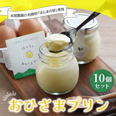 おひさまプリン10個セット (H073109)