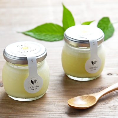 おひさまプリン10個セット (H073109)