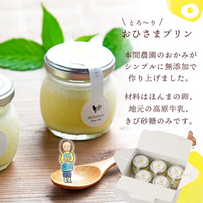 おひさまプリン&ケーキセット (H073110)