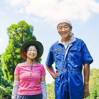 おひさまプリン&ケーキセット (H073110)