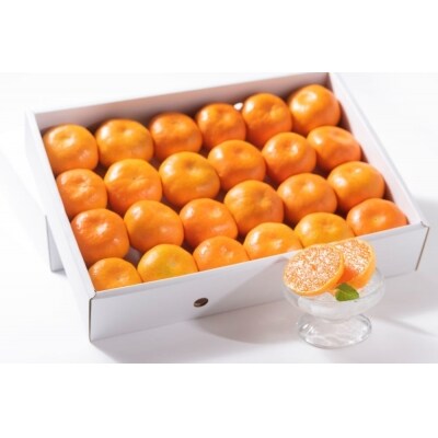 佐賀県産ハウスみかん2kg化粧箱入り (H076109)