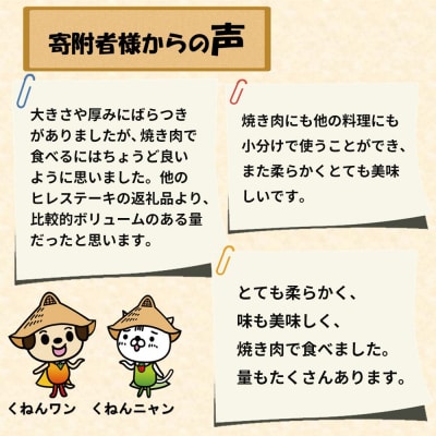 【訳あり】佐賀牛ヒレ焼き肉用600g (H065139)