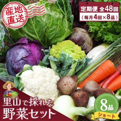 年間定期便48回 里山で採れた野菜セットショート 8品 (H078104)