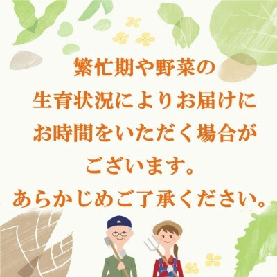 年間定期便24回 里山で採れた野菜セットレギュラー 12品 (H078140)