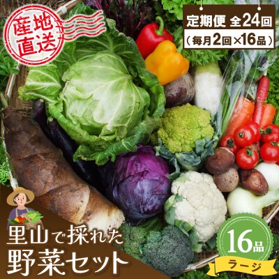 年間定期便24回 里山で採れた野菜セットラージ 16品 (H078111)