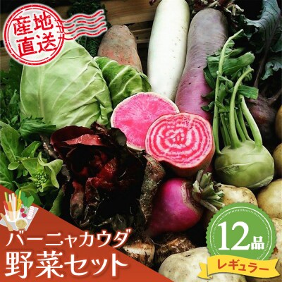 バーニャカウダ野菜セットレギュラー 12品 (H078117)