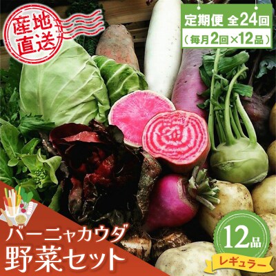 年間定期便24回 バーニャカウダ野菜セットレギュラー 12品 (H078144)