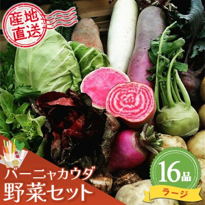 バーニャカウダ野菜セットラージ 16品 (H078121)