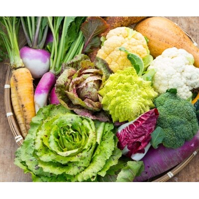 年間定期便48回 イタリア野菜セットショート 7品 (H078128)