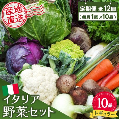 年間定期便12回 イタリア野菜セットレギュラー 10品 (H078149)