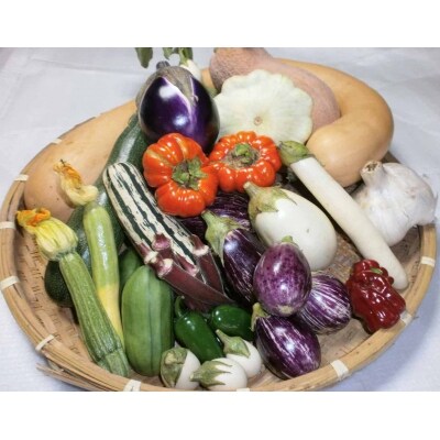 イタリア野菜セットラージ 14品 (H078133)