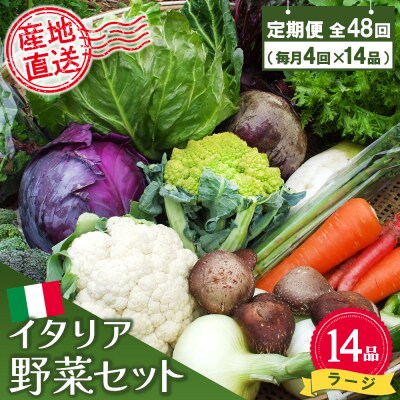 年間定期便48回 イタリア野菜セットラージ 14品 (H078136)