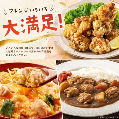 佐賀県産有明鶏 モモ2kg (H081132)