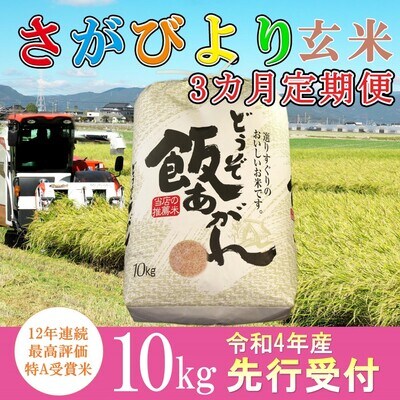 【令和4年産 新米 先行受付】さがびより 玄米 10kg 3か月定期便 (H061133)