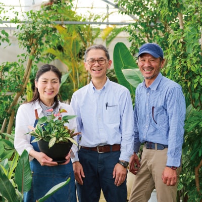 オリジナルアレンジ観葉植物　Sサイズ (H086104)