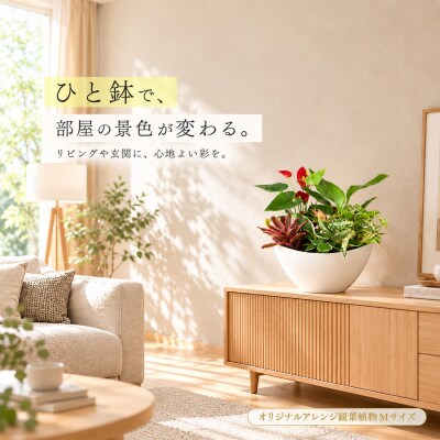 オリジナルアレンジ観葉植物　Mサイズ (H086110)