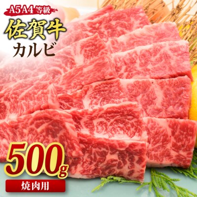 佐賀牛 カルビ 焼肉用 500g 【A4~A5ランク 国産黒毛和牛】(H085176)