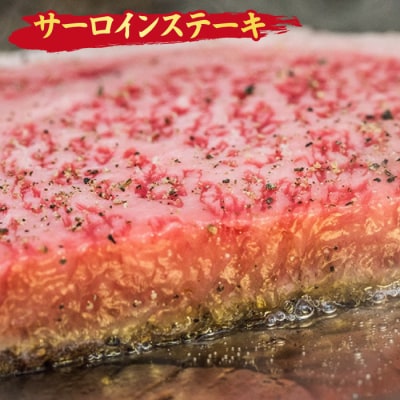 佐賀牛 サーロインステーキ 300g x 4枚(合計1.2kg)【A4~A5】(H085120)