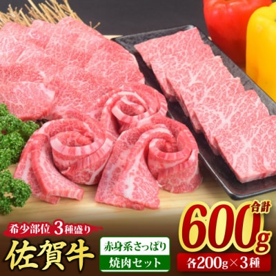 佐賀牛 希少部位 焼肉3点盛り合わせ 600g(200gx3種)【赤身系さっぱり】(H085141)