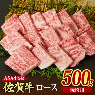 佐賀牛 ロース 焼肉用 500g 【A4~A5ランク 国産黒毛和牛 リブロース】(H085128)