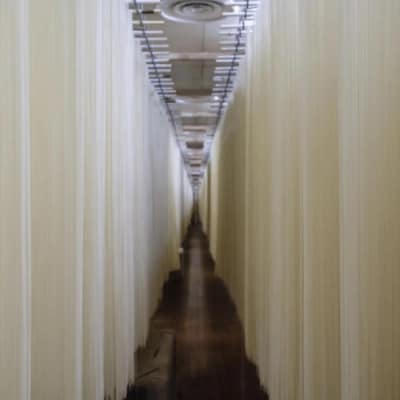 極寒素麺詰合わせ 1.8kg(H019111)