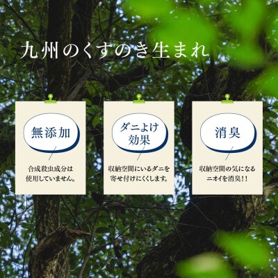 九州のくすのきから生まれたカンフルパウダー 15g×10パック【防虫剤】(H037108)