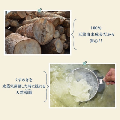 九州のくすのきから生まれたカンフルパウダー 15g×10パック【防虫剤】(H037108)