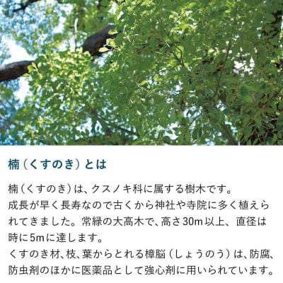 九州のくすのきから生まれたアロマディッシュセット(H037106)