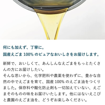 九州産えごま油 100g×2本セット(H037117)