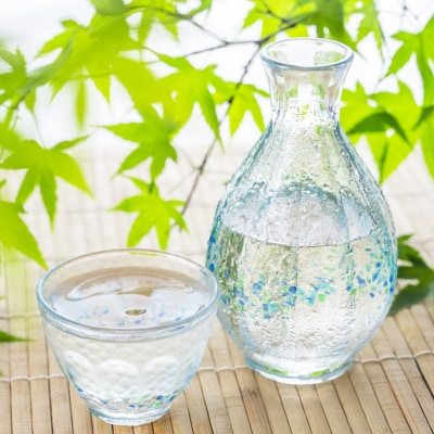 TheSAGA認定酒 純米酒おまかせ3本 定期便6回(H072157)