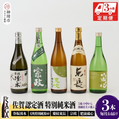 TheSAGA認定酒 特別純米酒おまかせ3本 定期便3回 (H072159)
