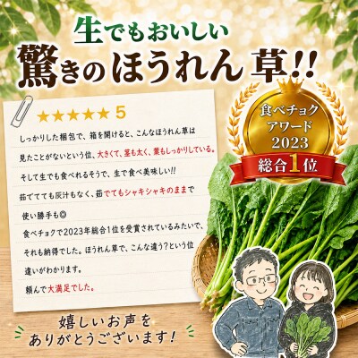 ほうれん草 約1kg(150g×7袋)(H091113)
