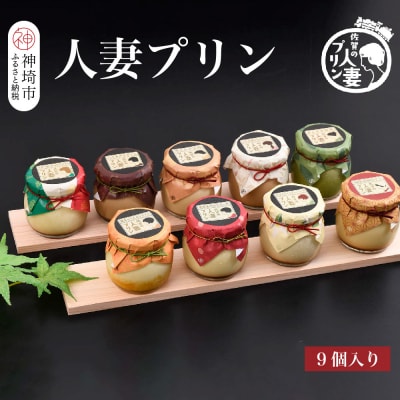 佐賀の人妻プリン 神埼市ふるさと納税限定詰合せ 9種味くらべ(H034110)