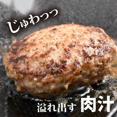 がばいばーぐ。佐賀牛入り黒毛和牛ハンバーグ140g×12個(H081147)