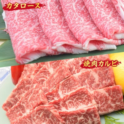 【3回定期便】佐賀牛 定期便(ヒレ サーロイン カルビ 肩ロース 希少部位) (H085145)