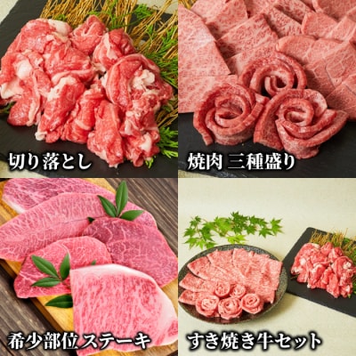 【4回定期便】 佐賀牛 まるごと欲張り お楽しみ便(合計3kg)(H085146)