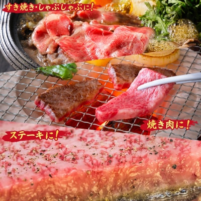 【4回定期便】 佐賀牛 ふたりで贅沢 お楽しみ便(合計1.9kg)(H085149)