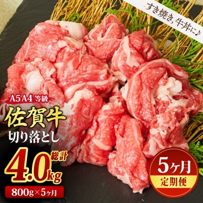 【5回定期便】佐賀牛 贅沢 切り落とし 800g(合計4kg)(H085186)
