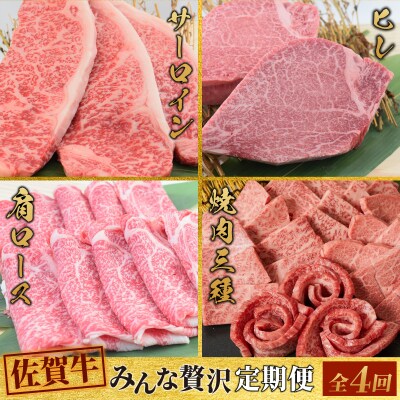 【4回定期便】 佐賀牛 みんなで贅沢 お楽しみ便(合計3.8kg)(H085150)