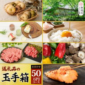 返礼品の玉手箱 神埼スペシャルセレクト5回定期便 (H095108)