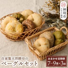 【定期便3回】自家製天然酵母のベーグルセット【パンと器のコネル】(H094107)