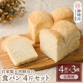 【定期便3回】自家製天然酵母の食パン 4斤【パンと器のコネル】(H094108)
