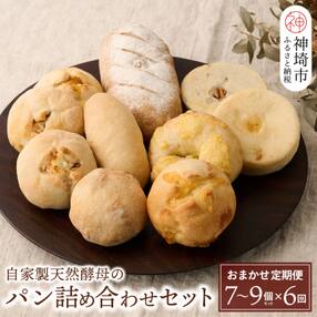【定期便6回】自家製天然酵母パンの詰め合わせセット【パンと器のコネル】(H094109)