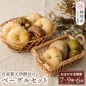 【定期便6回】自家製天然酵母のベーグルセット【パンと器のコネル】(H094110)