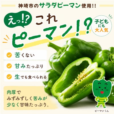 ピーマン味噌 もりぴー【3個セット】【サラダピーマン 米麹味噌】(H100104)