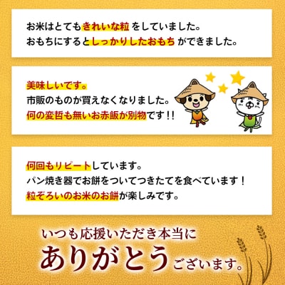 令和7年産 新米 佐賀県産ひよくもち米 5kg(H015201)